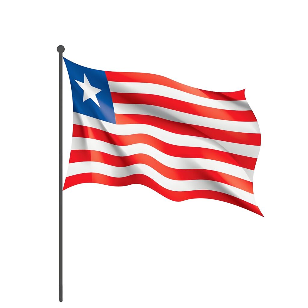 Customized presidential campaign Flag for Liberia