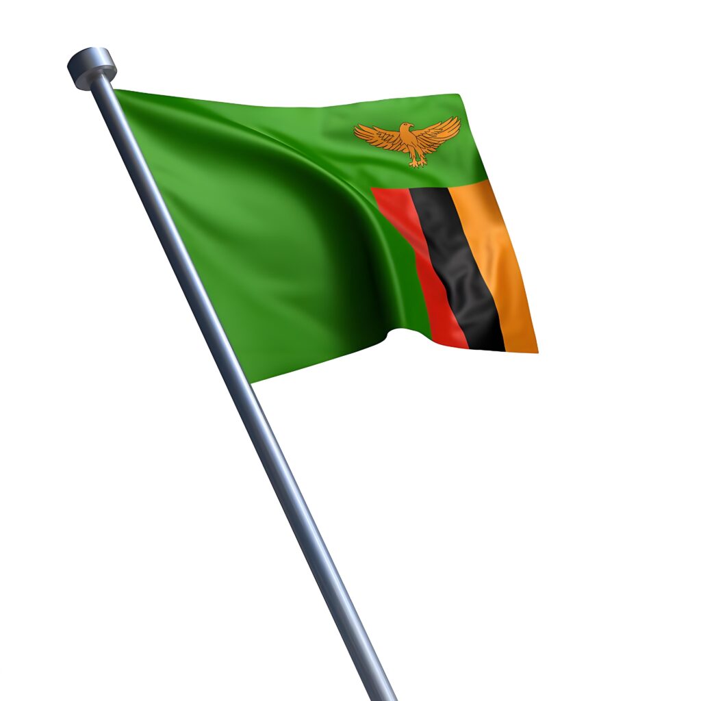 Customized presidential campaign Flag for Zambia