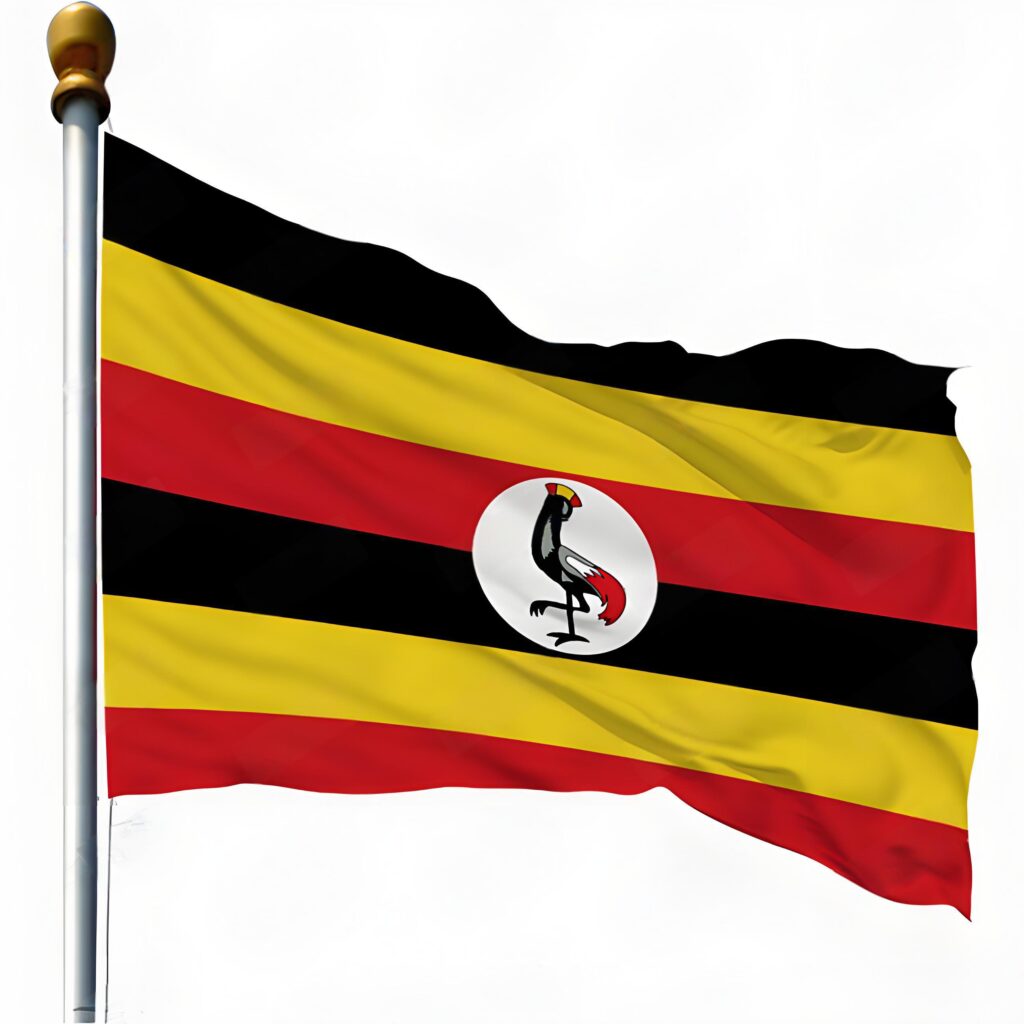 Customized presidential campaign Flag for Uganda